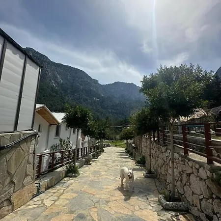 Gokdere Evleri Holiday home *